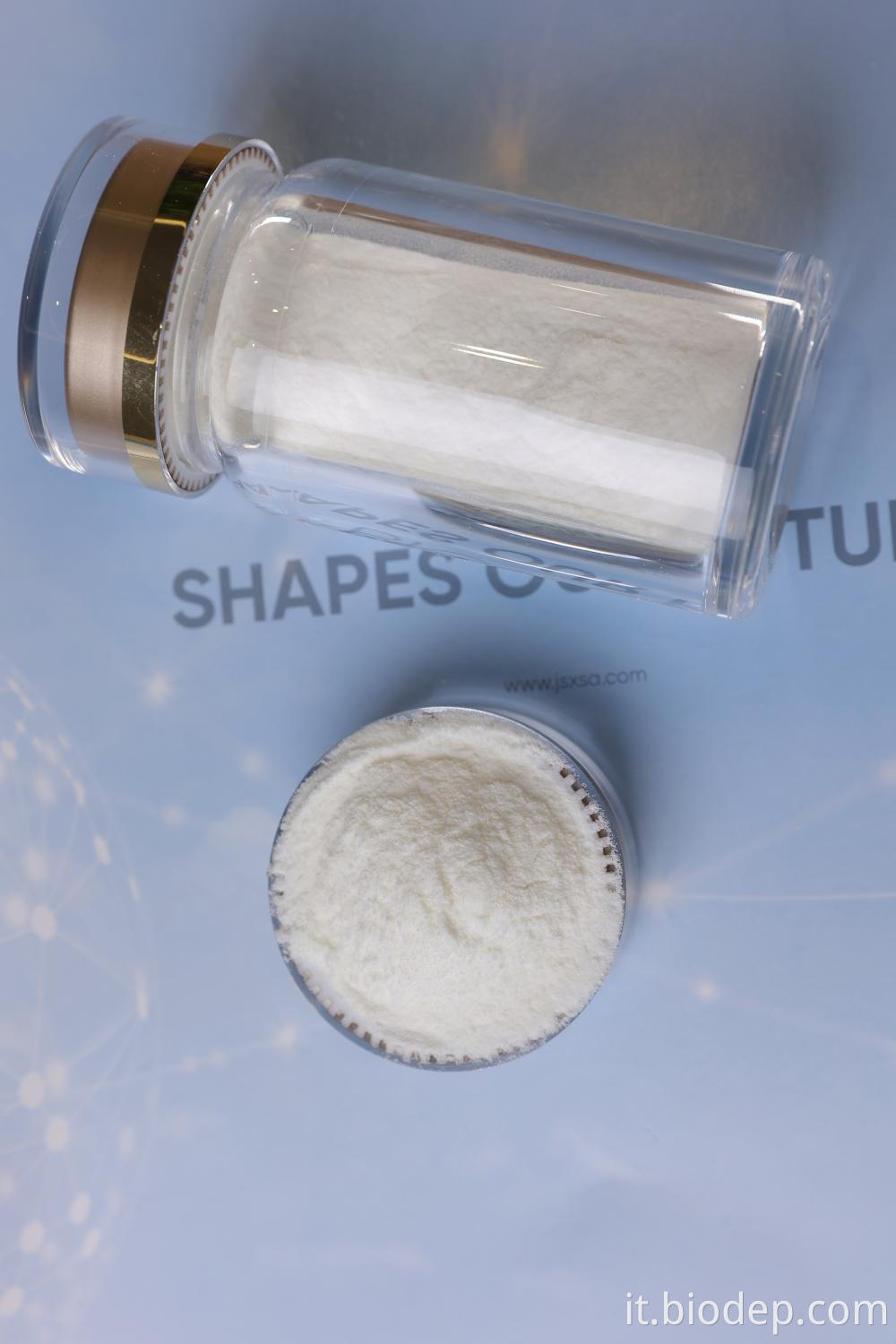 Akkermansia Muciniphila Akkermansia Muciniphila